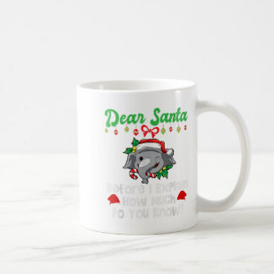 Mug Cher Père Noël Avant D'Expliquer Combien Vous Save