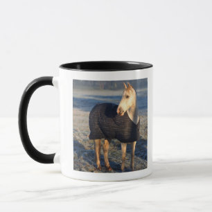 Mug cheval