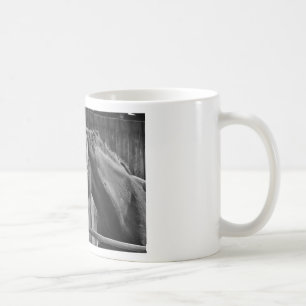 Mug Cheval blanc noir - Art de la photographie animale