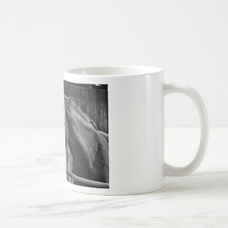Mug Cheval blanc noir - Art de la photographie animale