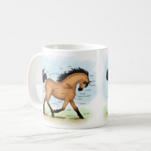 Mug Cheval Buckskin Education Equine Anatomie