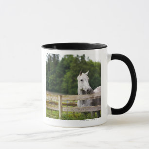 Mug Cheval dans le domaine regardant au-dessus de la