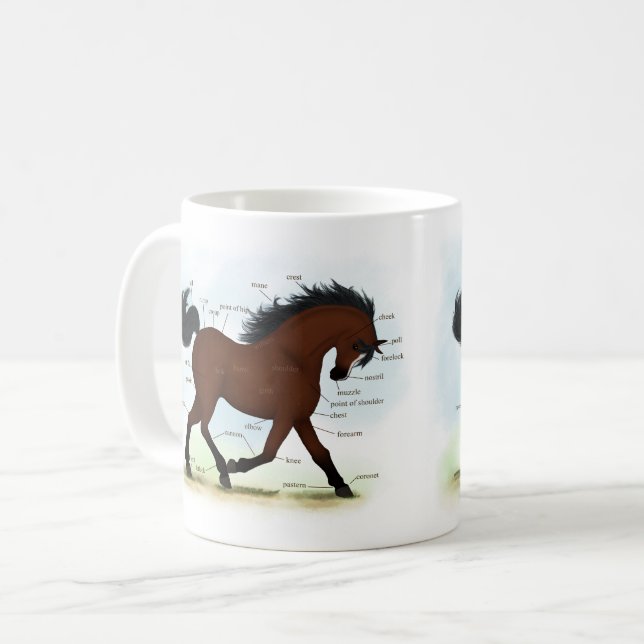 Mug Cheval De Baie Avec Lame Éducative Anatomique Grap (Devant gauche)