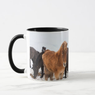 Mug Cheval islandais en hiver en Islande