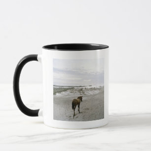 Mug Cheval marchant sur la plage
