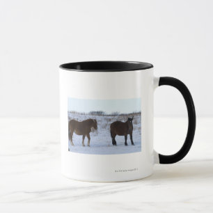 Mug Chevaux au cap Kiritappu, préfecture de Hokkaido,