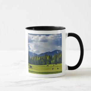 Mug Chevaux broutent dans un pâturage près de Whitefis