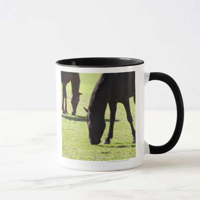 Mug Chevaux frôlant 2 (Droite)