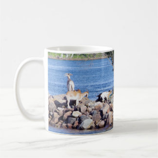 Mug Chèvres sur les rochers