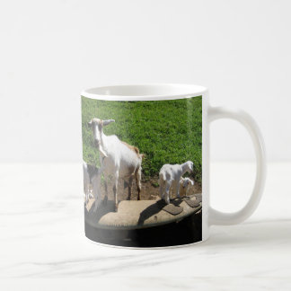 Mug Chèvres surfantes