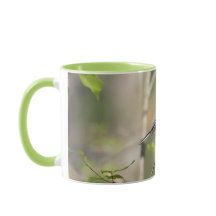 Chickadee couvert par noir sur une branche