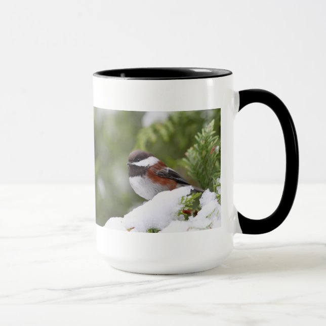 Mug Chickadee dans la neige sur un arbre de cèdre (Droite)