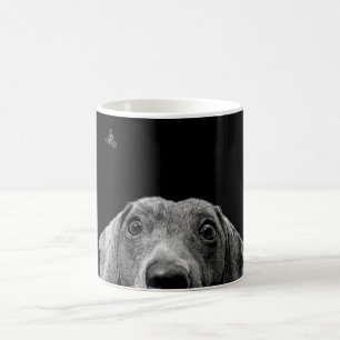 Mug chien