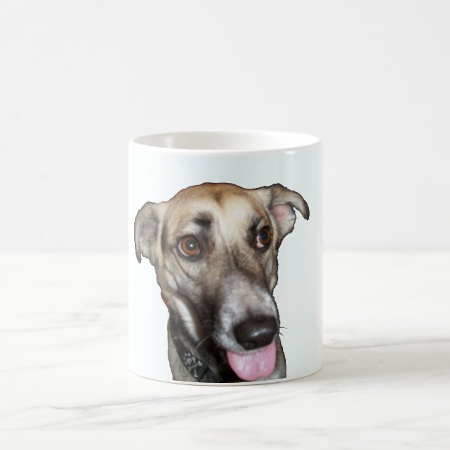 Mug Chien 2, Musique (Centre)