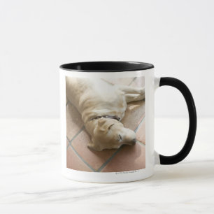 Mug Chien 3