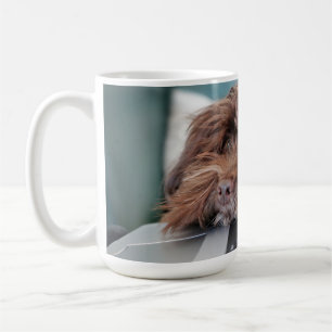 Mug Chien, Animal de compagnie, confinement