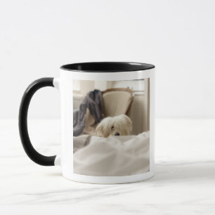 Mug Chien blanc se cachant derrière le lit (foyer