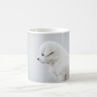 Mug Chien Chiot Animal animal animal animal animal ani