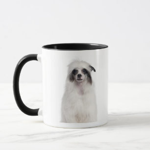 Mug Chien crêté chinois (7 mois)