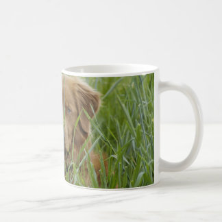 Mug Chien d'arrêt de tintement de canard de la