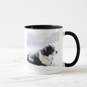 Mug Chien de berger (Akbash/mélange de colley) se