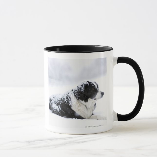 Mug Chien de berger (Akbash/mélange de colley) se (Droite)