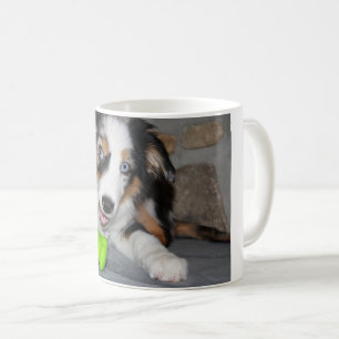 Mug Chien de Berger Américain Miniature Blue Merle