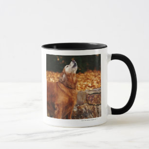 Mug Chien de golden retriever hurlant sur le chemin