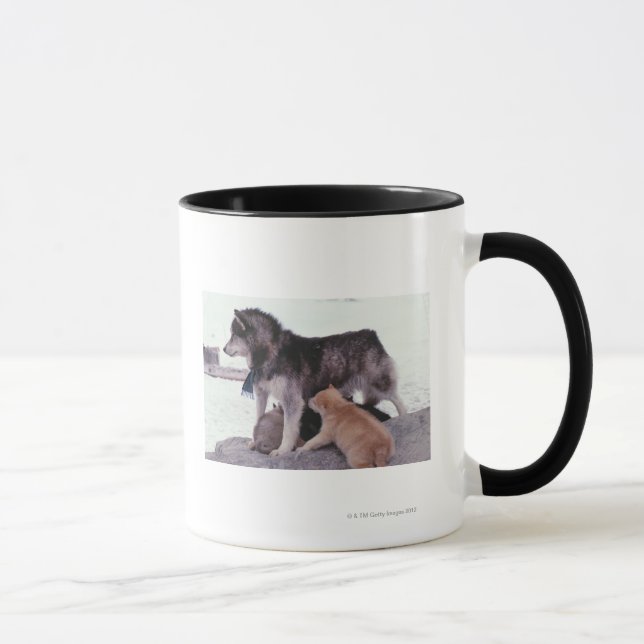 Mug Chien de traîneau avec des ordures des chiots (Droite)