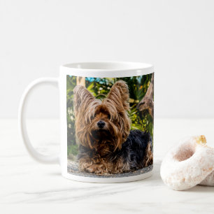 Mug Chien du Yorkshire Terrier