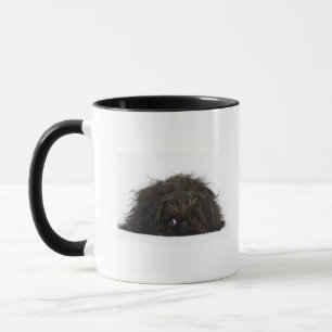Mug Chien noir de Pekingese se couchant