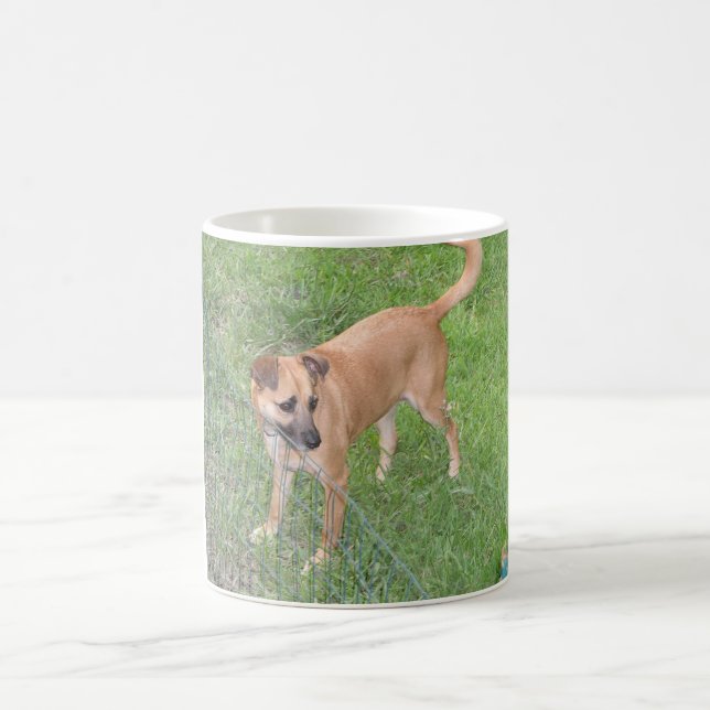 Mug chien plein 2.png de la Caroline (Centre)