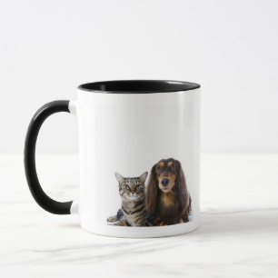 Mug Chien (teckel) et chat (chat japonais) sur le