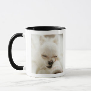 Mug Chien tenant le jouet dans la bouche