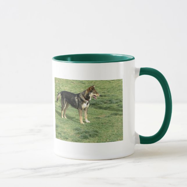 Mug chiens, animaux familiers, animaux, tasses, (Droite)