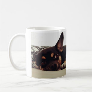 Mug Chihuahua