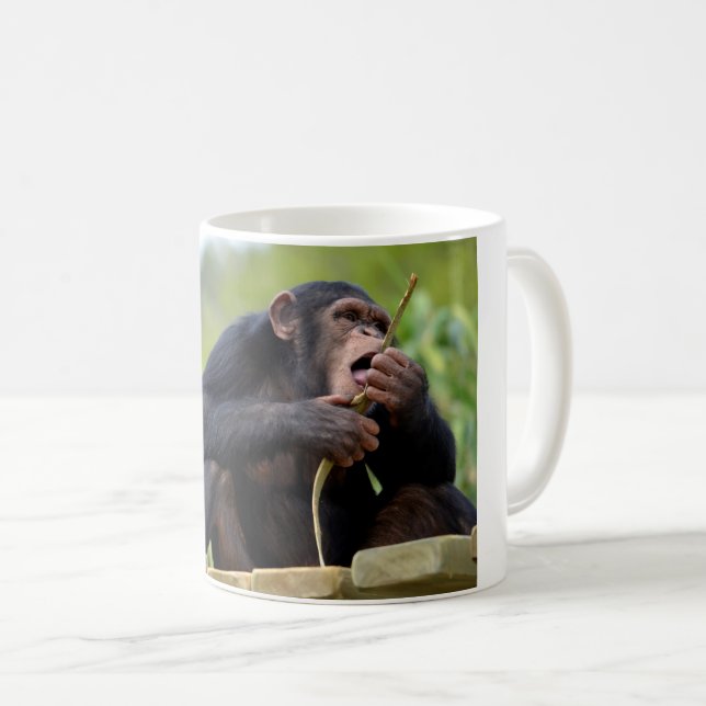 Mug Chimpanzé sur la planche et manger un écorce postc (Devant droit)