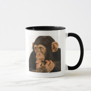 Mug Chimpanzé (troglodytes de casserole). Jeune