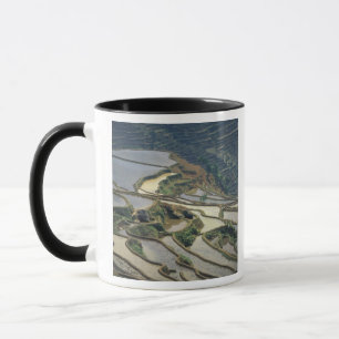 Mug Chine, province du Yunnan. Rizières inondées de