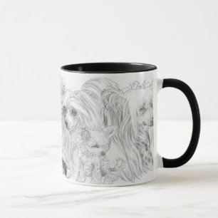 Mug Chinois arrêté