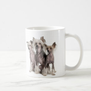 Mug Chinois Crested