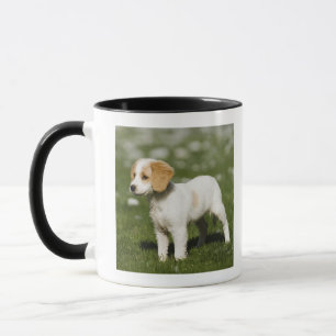 Mug Chiot 3