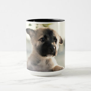 Mug Chiot allemand sur la corniche