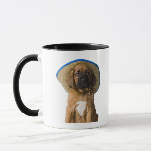 Mug chiot dans un casquette de cowboy