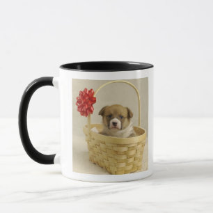 Mug Chiot dans un panier