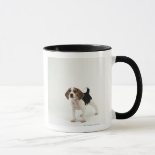 Mug Chiot de beagle