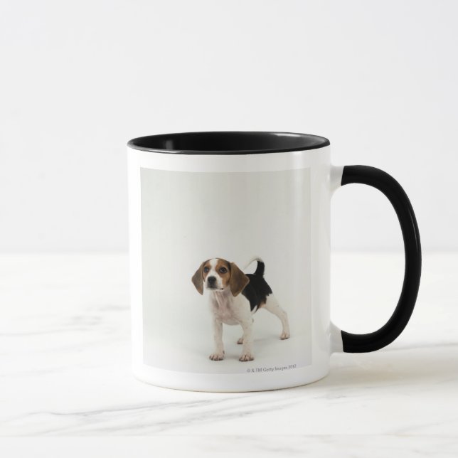 Mug Chiot de beagle (Droite)
