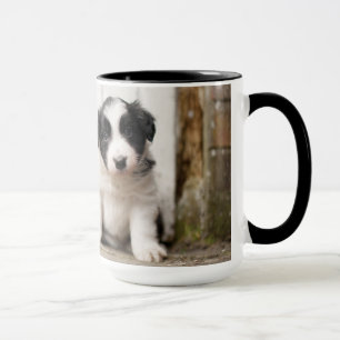 Mug Chiot de border collie