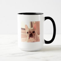 Chiot de bouledogue français