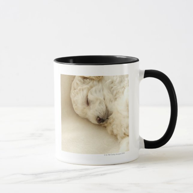 Mug Chiot de caniche de sommeil (Droite)